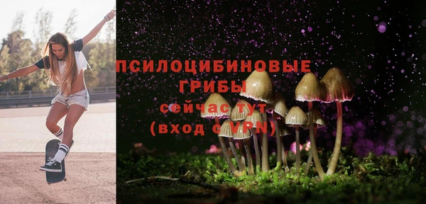 кокс Инта
