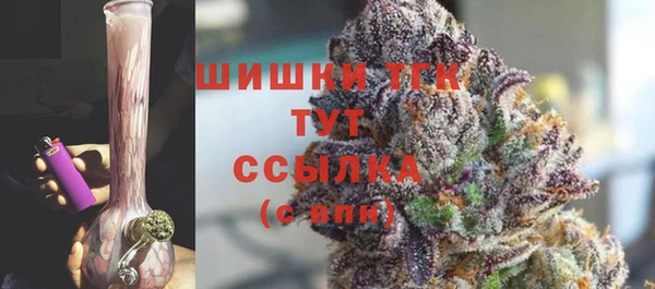 гидропоника Иннополис